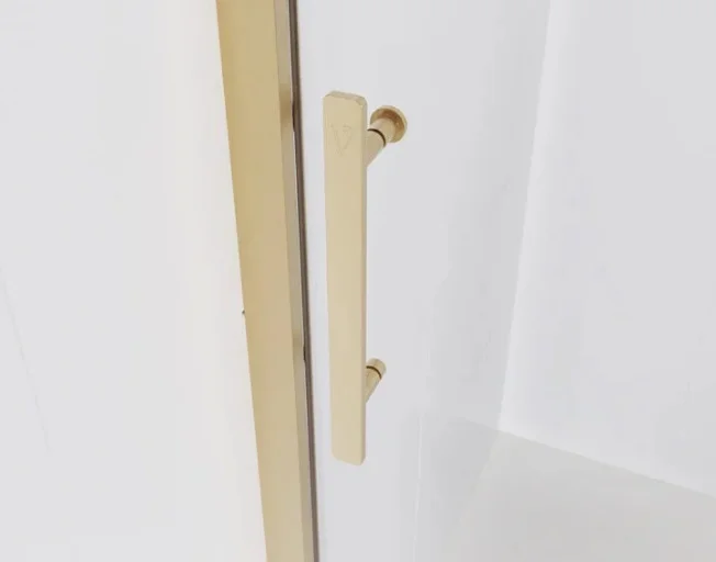 Душевая дверь Veconi Evo 100 G E1-G-170-01-C9 170х195см купить,223600