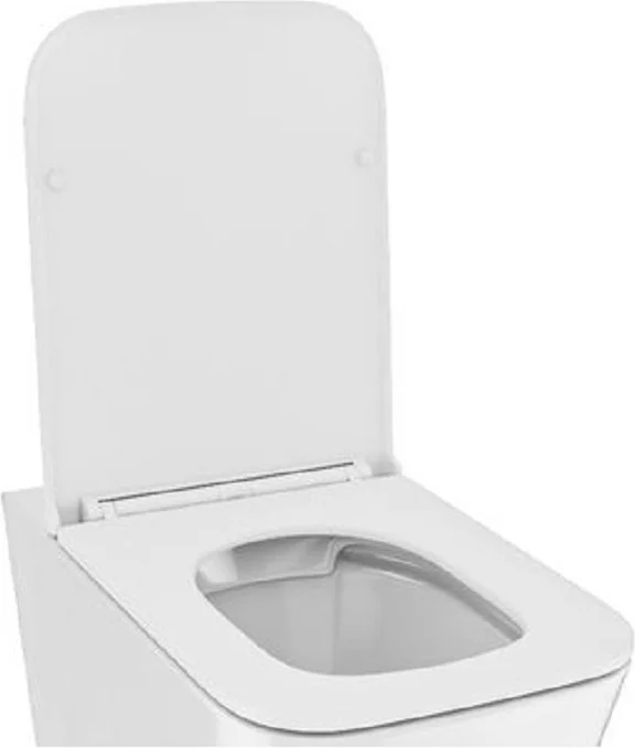 Сиденье для подвесного унитаза Cetus Figura S3318 33.5x26см купить,14900