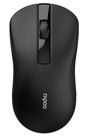 Мышь Rapoo B20 16525 Black