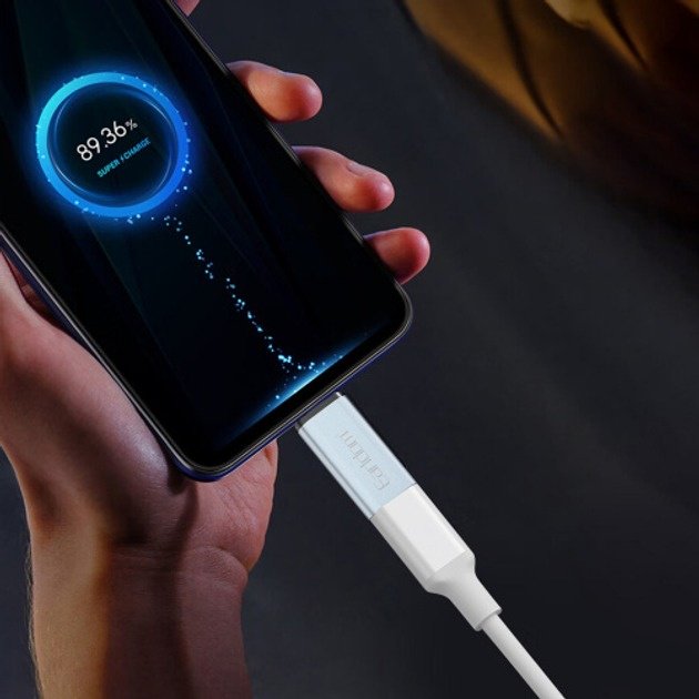 Переходник Earldom Lightning (F), USB TypeC (M) серебристый купить,NaN