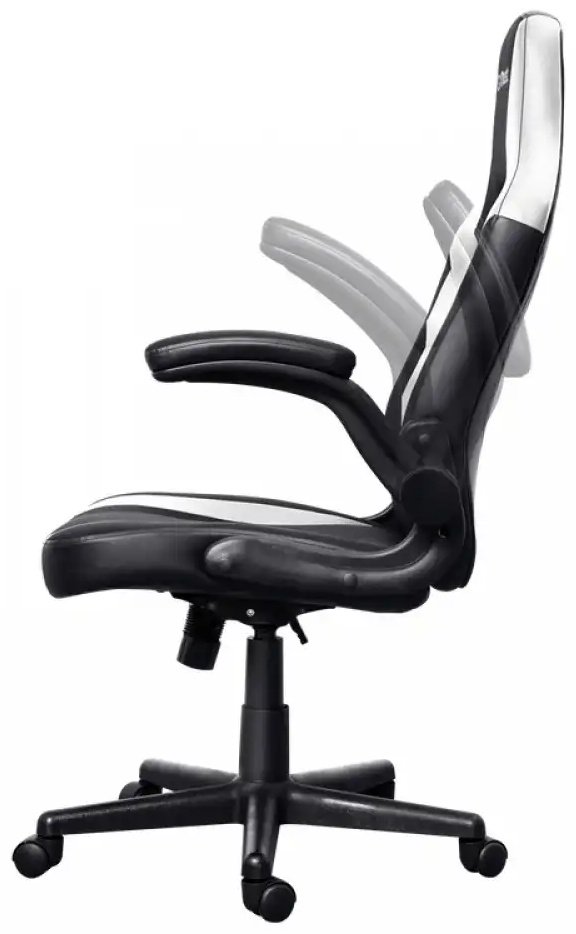 Игровое кресло Trust GXT703W Riye, черный, белый - ForteMarket Игровое кресло Trust GXT703W Riye, черный, белый купить,0