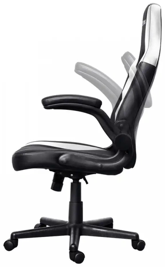 Игровое кресло Trust GXT703W Riye, черный, белый - ForteMarket Игровое кресло Trust GXT703W Riye, черный, белый купить,44990