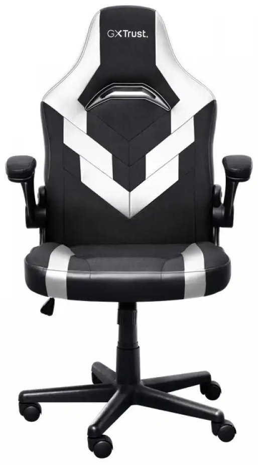 Игровое кресло Trust GXT703W Riye, черный, белый - ForteMarket Игровое кресло Trust GXT703W Riye, черный, белый купить,0