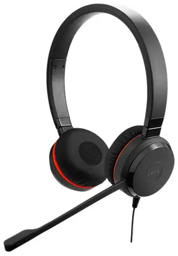 Наушники Jabra EVOLVE 20 SE Stereo MS USB C/A adapter Leather черный купить,36180