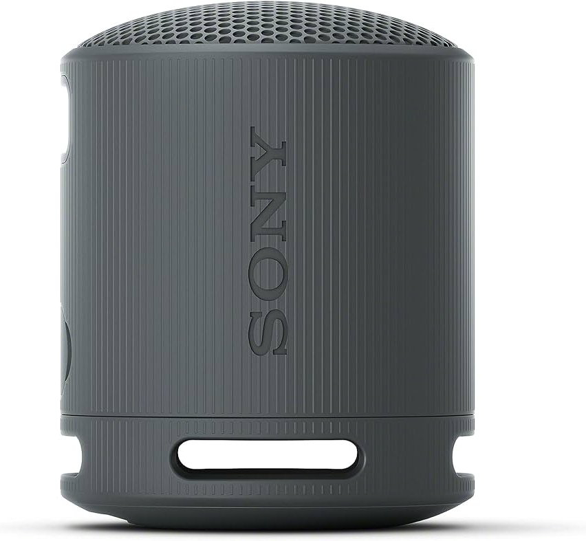 Sony SRS-XB100/BCE черный купить,NaN