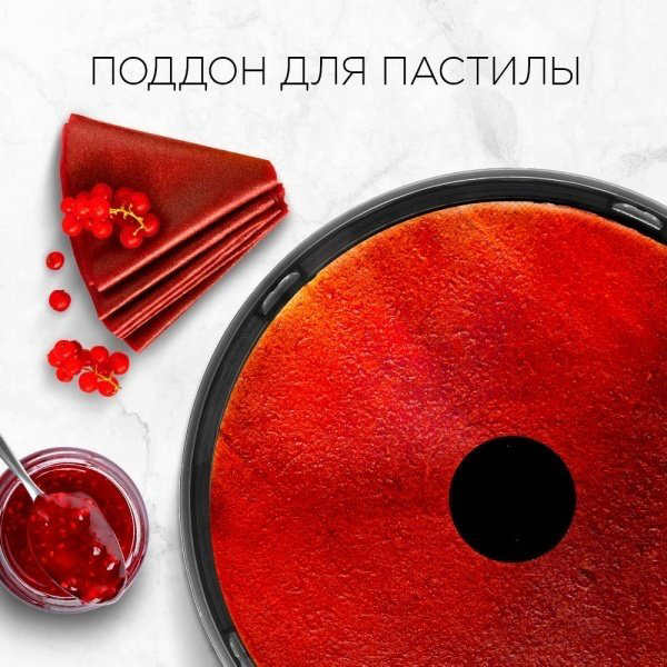 Электросушилка REDMOND FD1103 черный купить,NaN