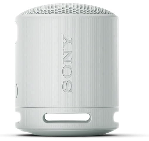 Sony SRS-XB100/HE серый купить,NaN