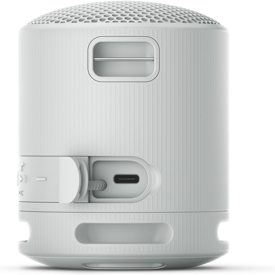 Sony SRS-XB100/HE серый купить,0