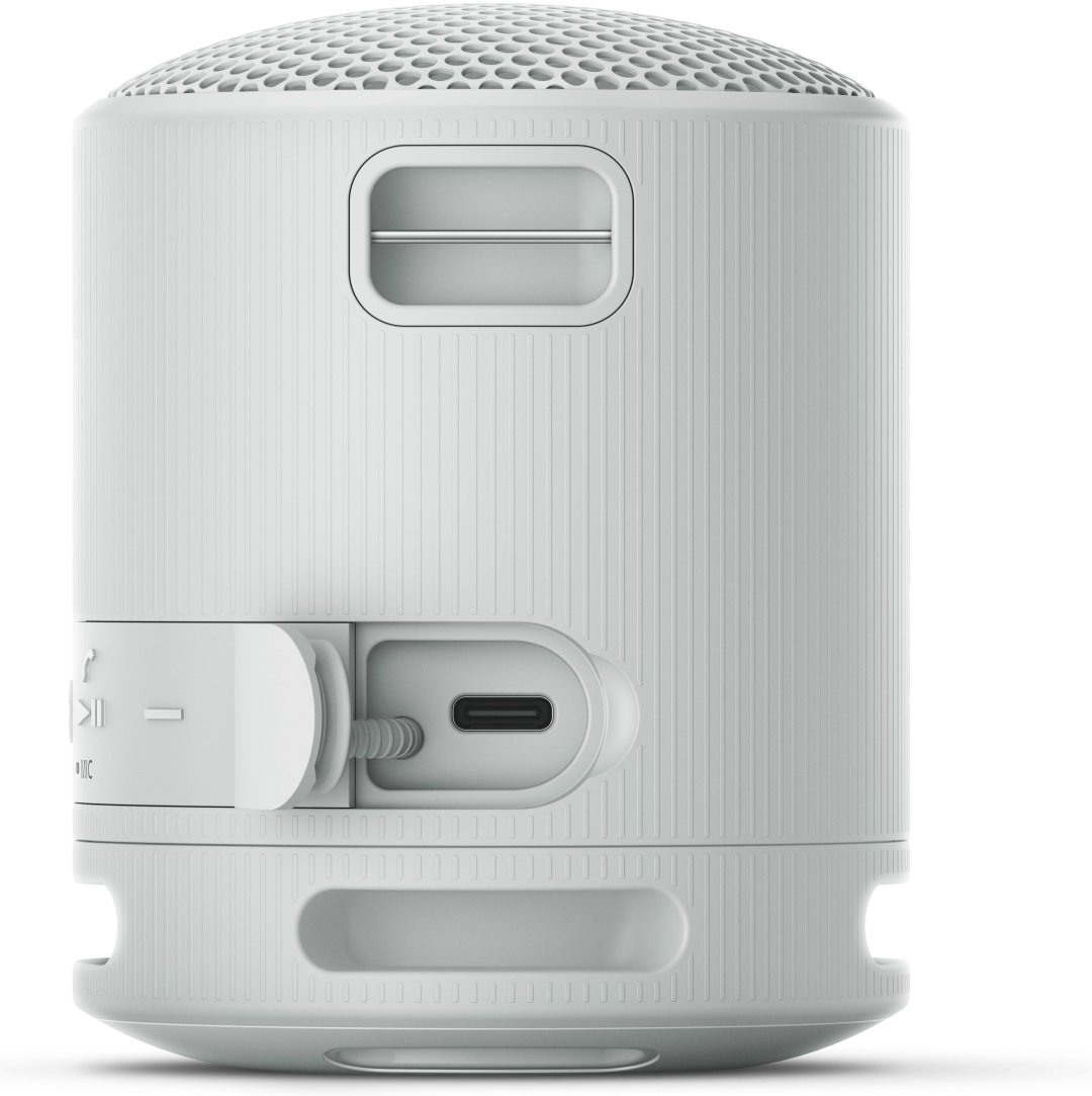 Sony SRS-XB100/HE серый купить,NaN