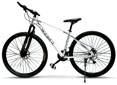 Велосипед Weber MBA261721GS White