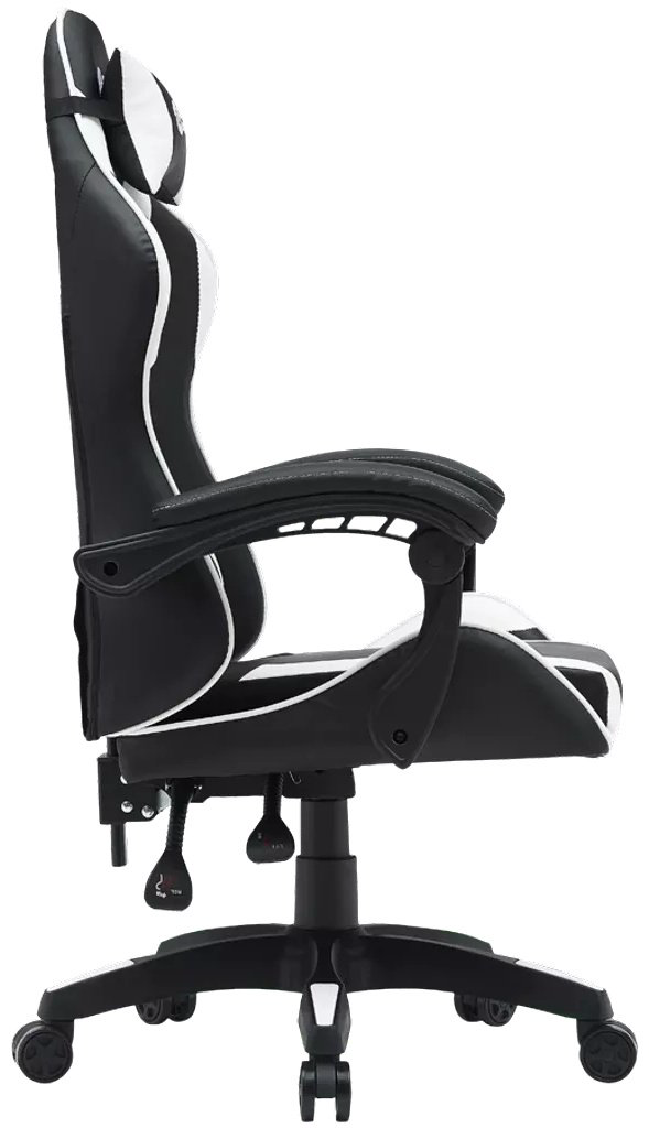 Игровое кресло Canyon CNE-SGCH2W, черный, белый купить,NaN