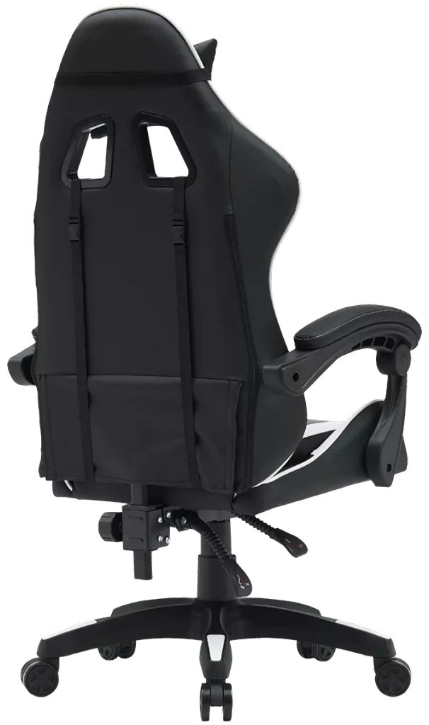 Игровое кресло Canyon CNE-SGCH2W, черный, белый купить,NaN