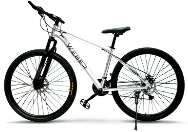 Велосипед Weber MBA291921GS Glossy Silver