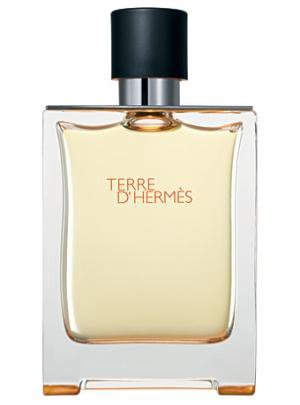 Туалетная вода Hermes Terre D’Hermes 100мл - ForteMarket Туалетная вода Hermes Terre D’Hermes 100мл купить,108860