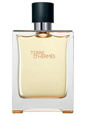 Туалетная вода Hermes Terre D’Hermes 100мл - ForteMarket Туалетная вода Hermes Terre D’Hermes 100мл купить,108860