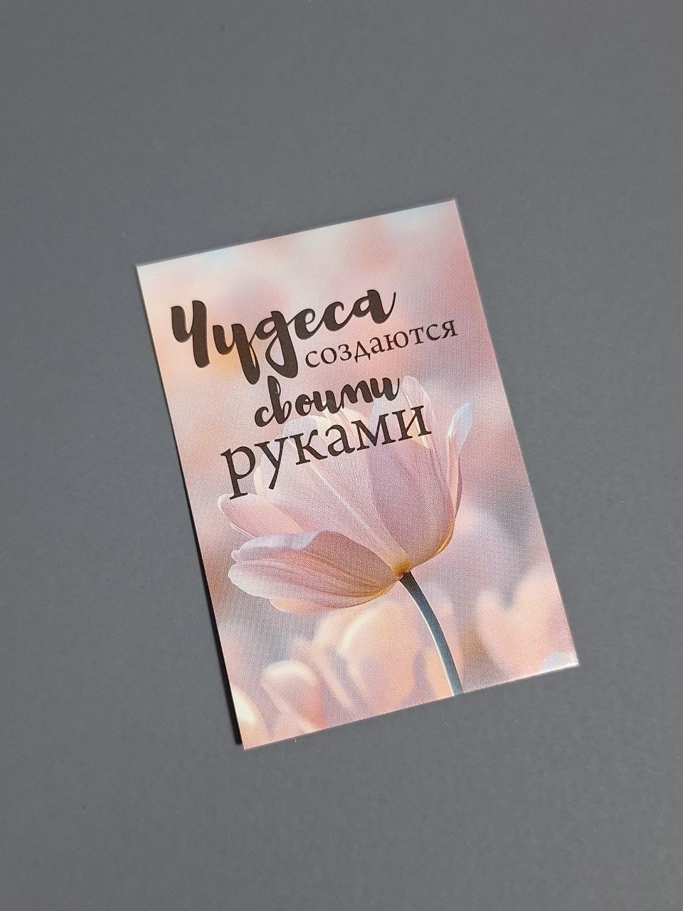 Коробка Fortress box 1 шт, 19.5х19.5х5.5 см - ForteMarket Коробка Fortress box 1 шт, 19.5х19.5х5.5 см купить,0