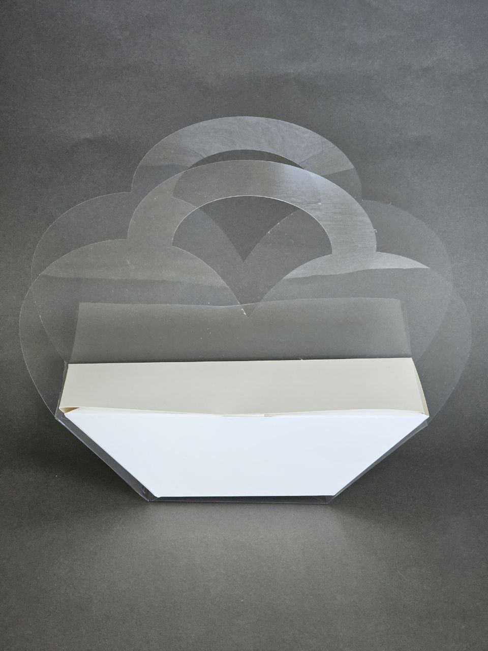 Коробка Fortress box 1 шт, 32х22.5х7.5 см купить,0