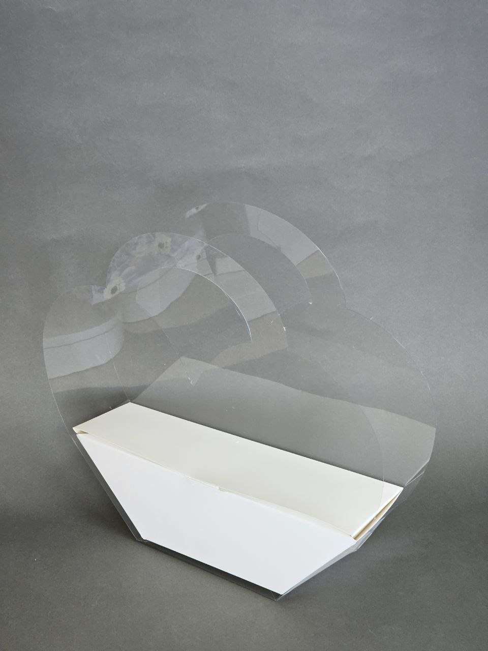 Коробка Fortress box 1 шт, 32х22.5х7.5 см купить,0