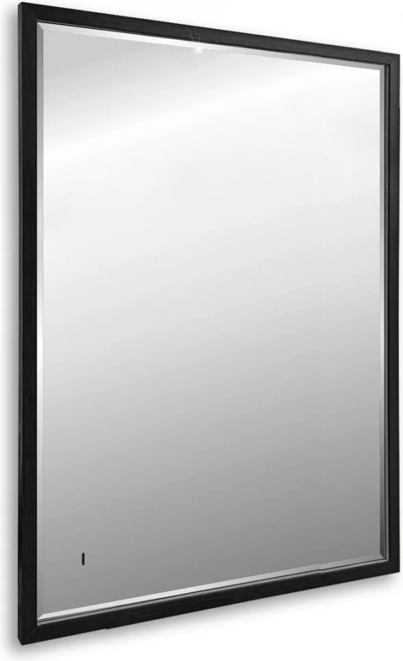 Зеркало Abber See AG6110SC-0.65 65х90см черный