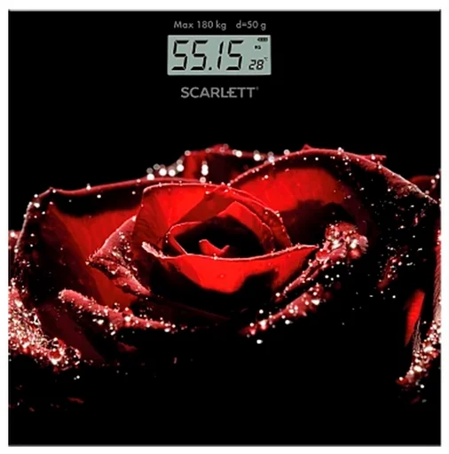 Весы Scarlett SC-BS33E028 