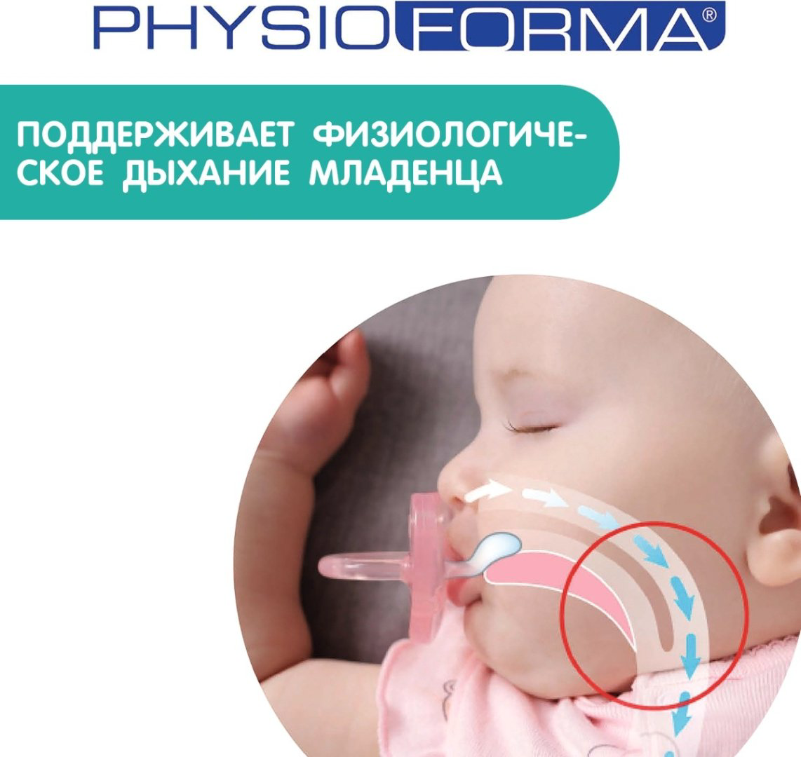 Chicco пустышка, 2 шт, Physio 00073231210000 купить,NaN