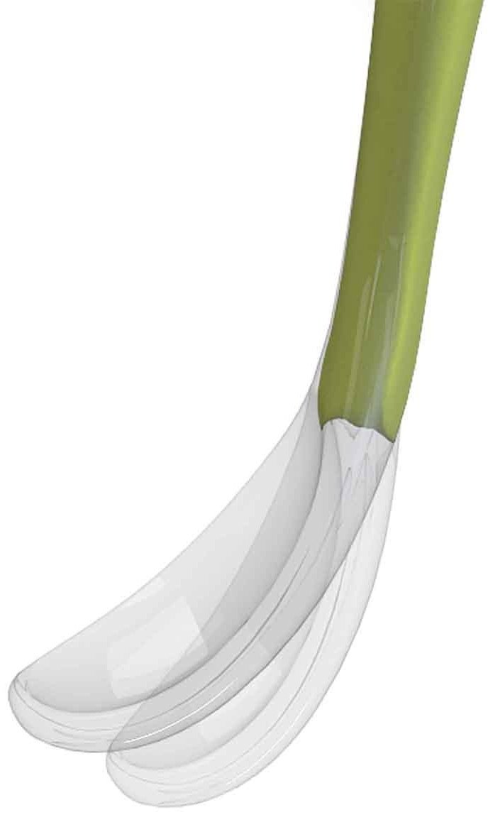 Ложка Chicco 00006828510000, предметов 1 шт, зеленый - ForteMarket Ложка Chicco 00006828510000, предметов 1 шт, зеленый купить,0