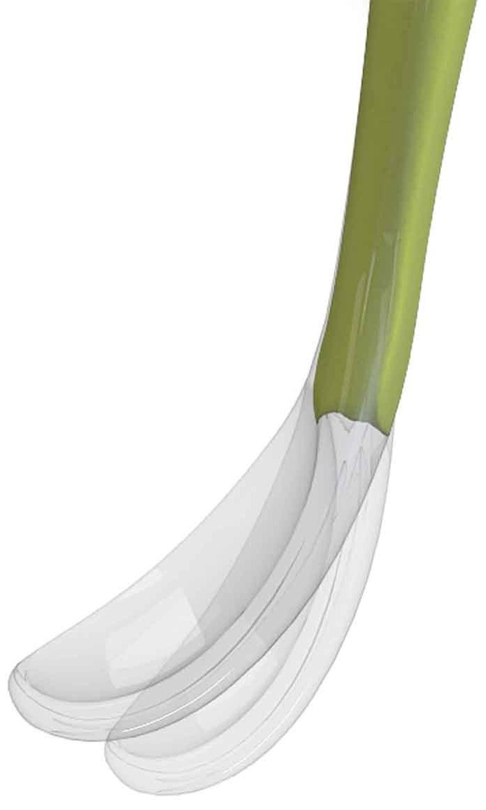 Ложка Chicco 00006828510000, предметов 1 шт, зеленый купить,NaN