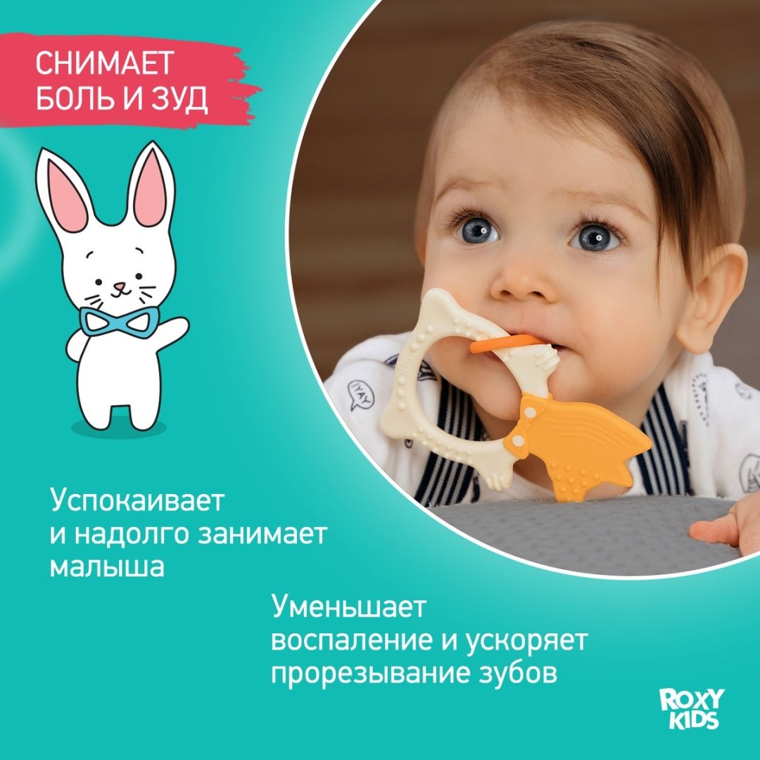 Прорезыватель Roxy RBT2003, 1 шт, мультиколор купить,0