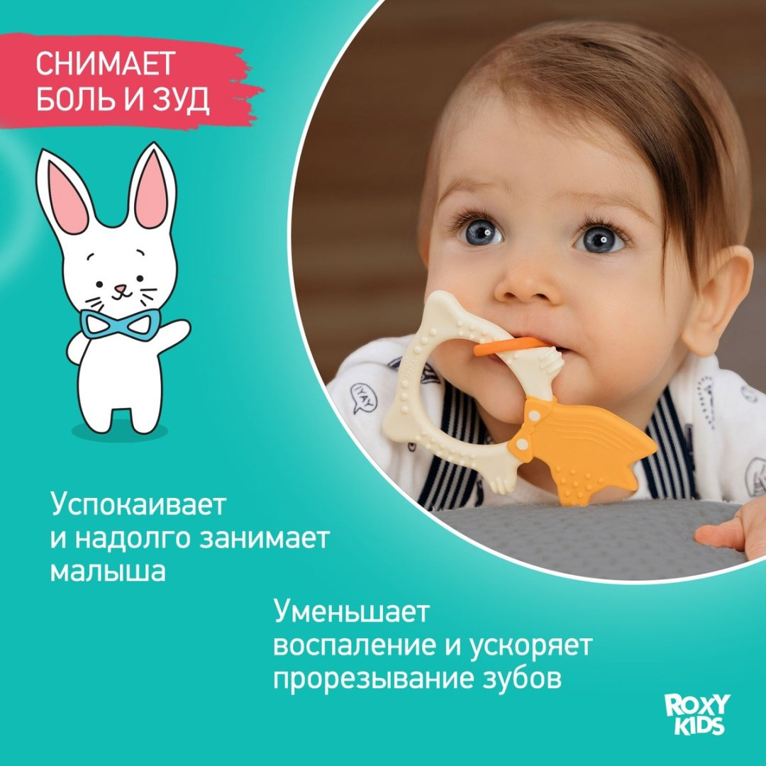 Прорезыватель Roxy RBT2003, 1 шт, мультиколор купить,NaN