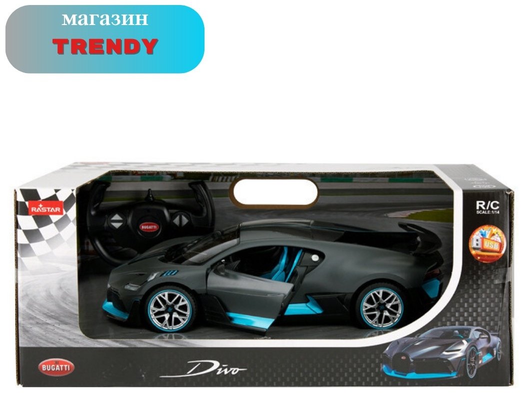 Rastar BUGATTY Divo 98000G, пластик, серый