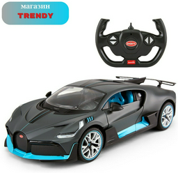 Rastar BUGATTY Divo 98000G, пластик, серый