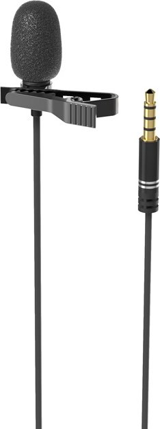Ritmix RCM-110 черный