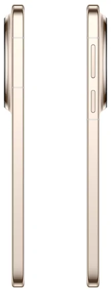 Смартфон Huawei Mate 80 Pro 16/512GB Gold купить,581632