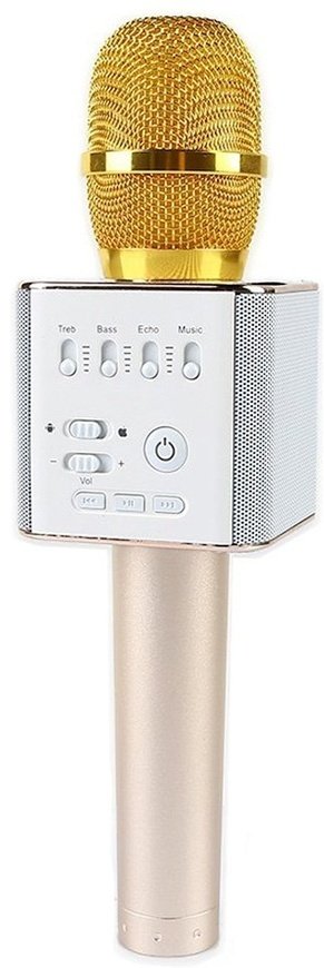 Микрофон Sound Wave Q9
