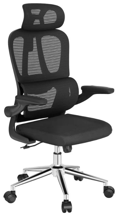 Офисное кресло Flexispot OC19B 73х66х115см черный купить,NaN