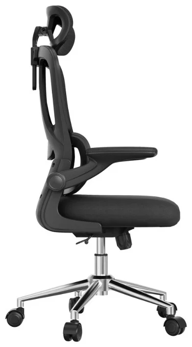 Офисное кресло Flexispot OC19B 73х66х115см черный купить,NaN
