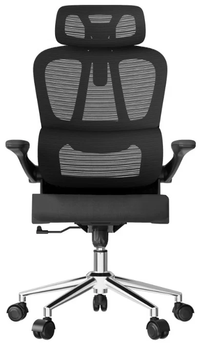 Офисное кресло Flexispot OC19B 73х66х115см черный купить,NaN