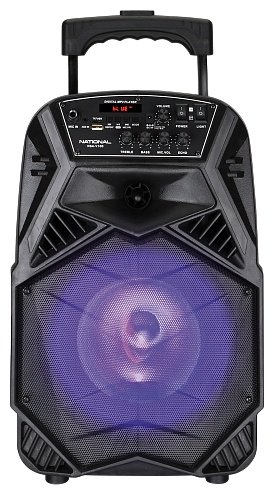 Акустическая система NATIONAL NSM-V100