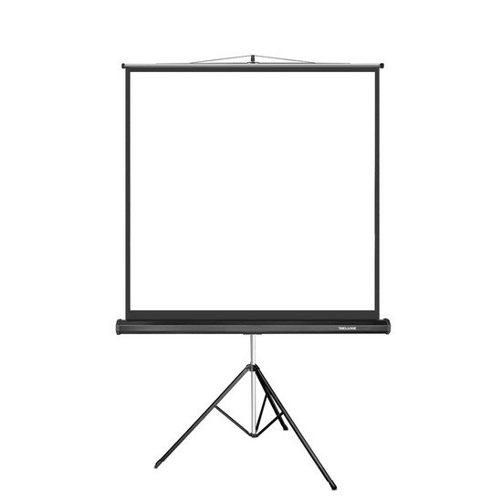 Экран на треноге Deluxe DLS-T180XW 180x180 белый