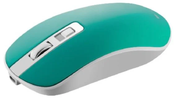 Мышка Canyon MW-18 CNS-CMSW18A бирюзовый