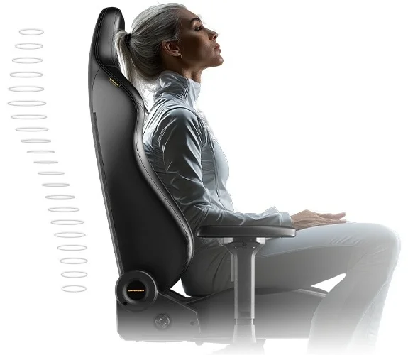 Игровое кресло DX Racer Martian Pro GC/XLMP25LTA/TRIANGLE.N черное