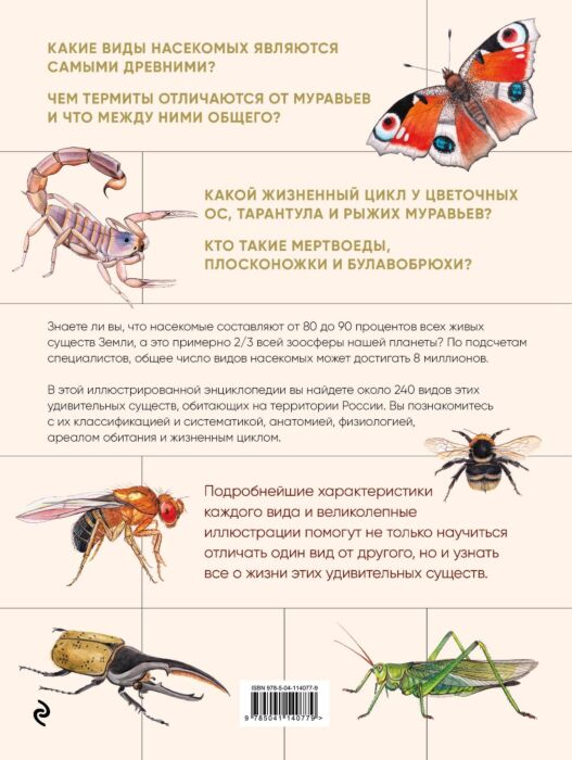 Энциклопедии Куценко М. Насекомые Иллюстрированная энциклопедия начинающего энтомолога 240 популярных видов, которые обитают рядом с нами купить,NaN