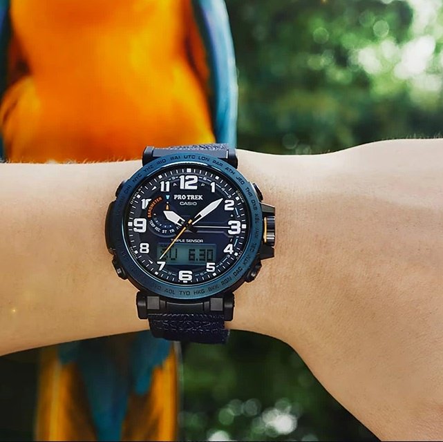Часы Часы CASIO PRG-601YB-2DR сталь, полимер купить,NaN