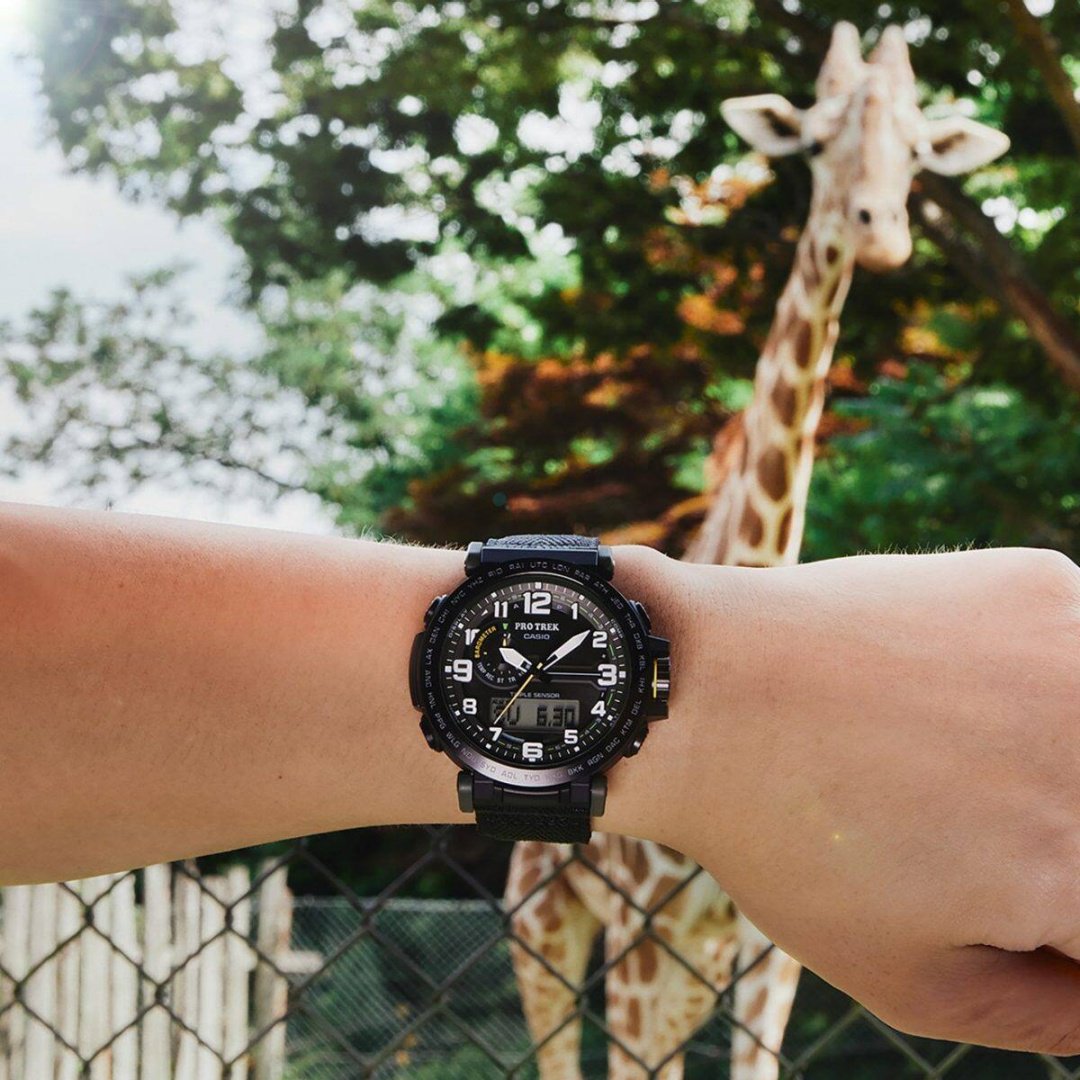 Часы Кварцевые CASIO PRG-601YB-3DR полимер купить,NaN