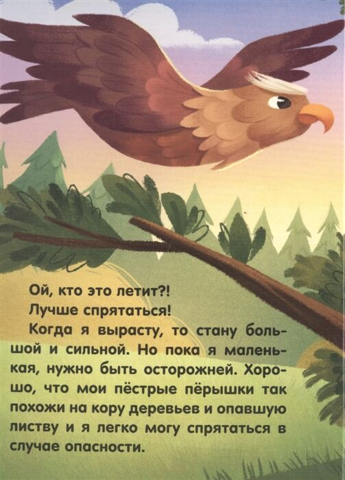 Книги на картоне Емеленко С.Н. Совушка купить,NaN