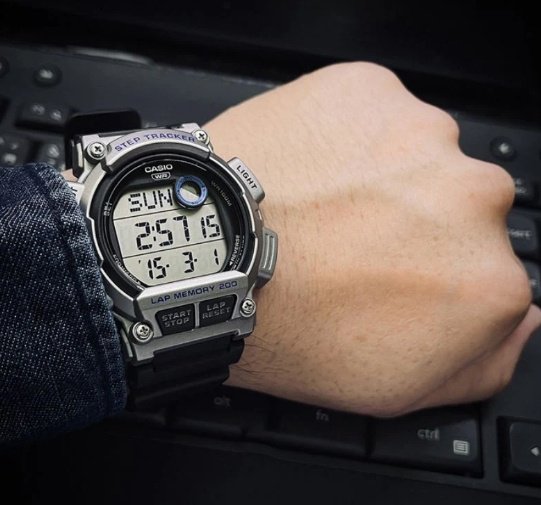 Часы Кварцевые CASIO WS-2100H-1A2VDF полимер
