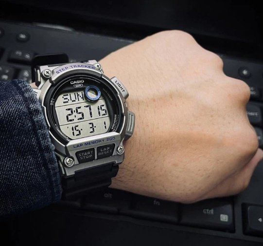 Часы Кварцевые CASIO WS-2100H-1A2VDF полимер купить,NaN