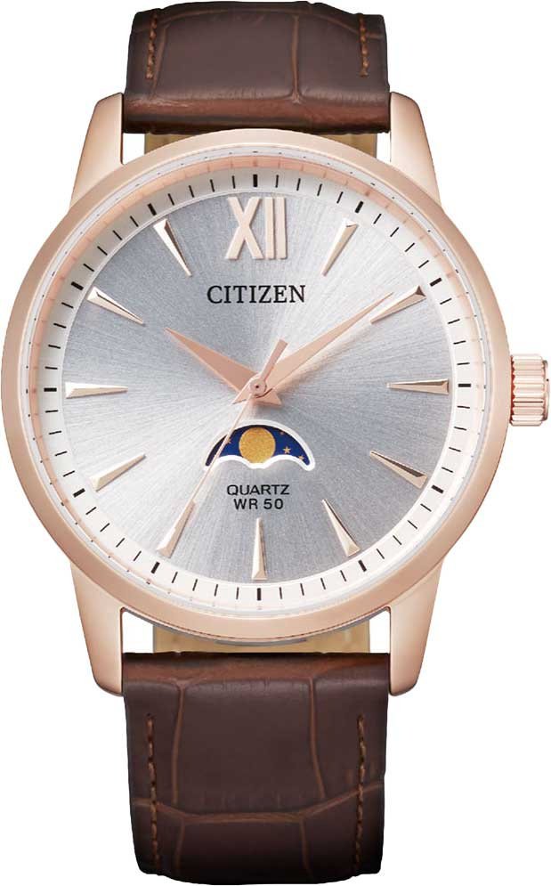 Часы Кварцевые Citizen AK5003-05A сталь