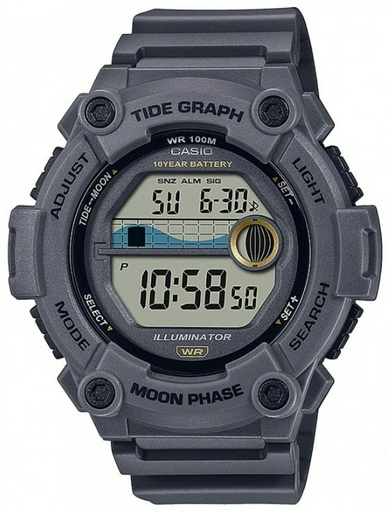 Часы Кварцевые CASIO WS-1300H-8AVEF полимер