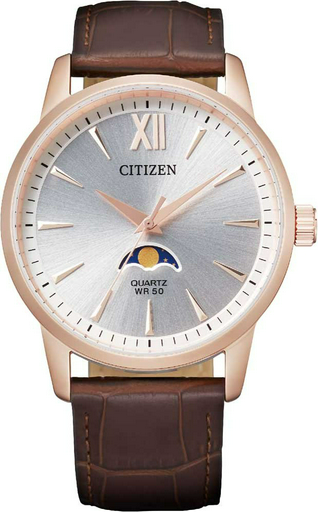 Часы Кварцевые Citizen AK5003-05A сталь